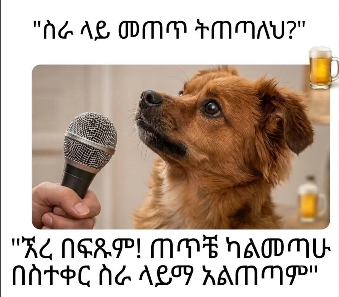 "ስራ ላይ መጠጥ ትጠጣለህ” - በስተቀር ስሪ . ላይማ አልጠጣም" "AGAL OMT MMA?" _| nnteC he ALF RAMMIP"
